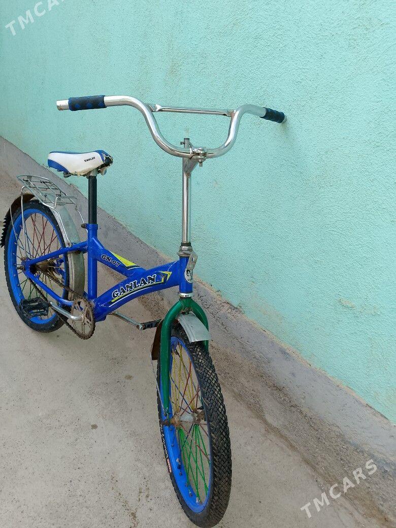 TİGİR - Tejen - img 1