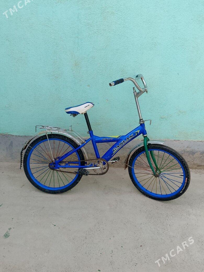 TİGİR - Tejen - img 4