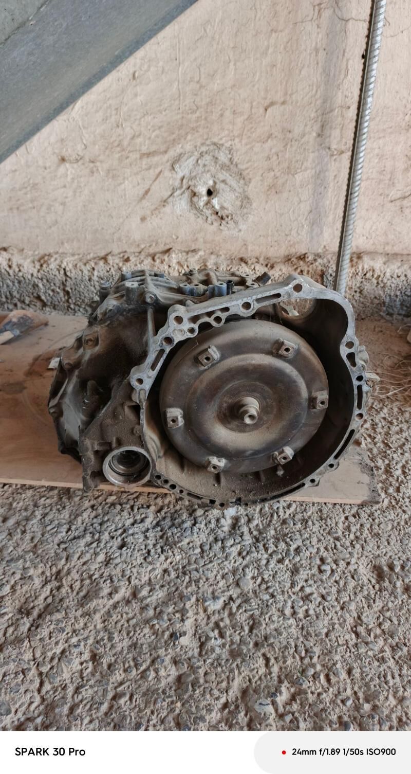 karopga 2.4 öküz kele 3 000 TMT - Büzmeýin - img 3