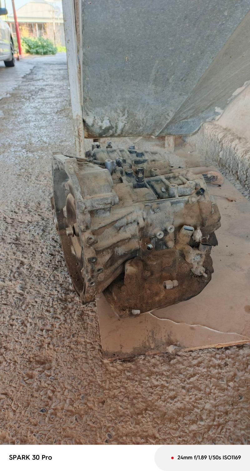 karopga 2.4 öküz kele 3 000 TMT - Büzmeýin - img 4