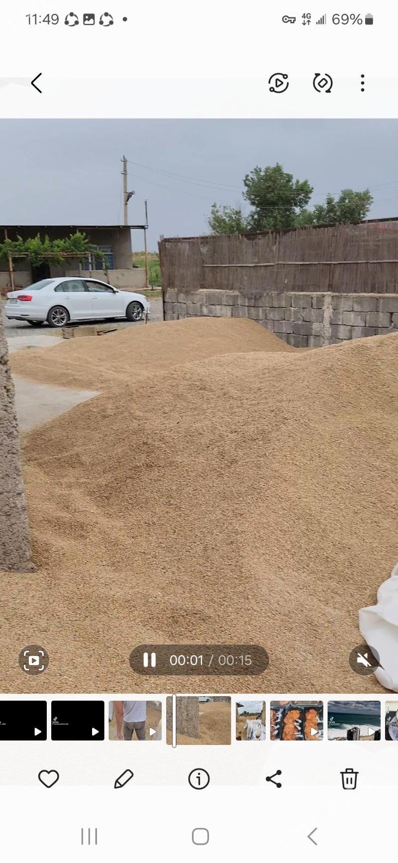 arpa tirtikal perko garlan - Gurtly - img 1