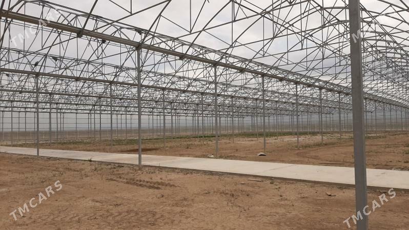 Ýyladyşhana Теплица - Aşgabat - img 3