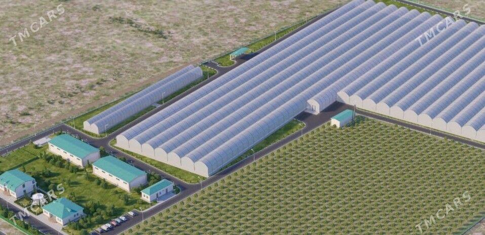 Ýyladyşhana Теплица - Aşgabat - img 1