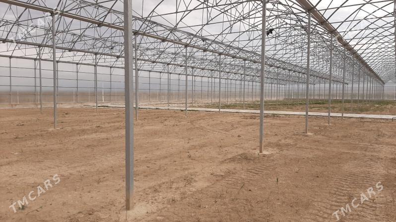 Ýyladyşhana Теплица - Aşgabat - img 2