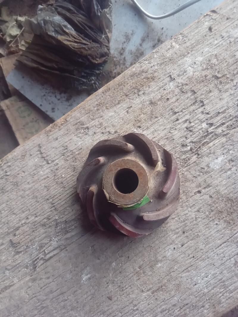 popa kirşka 100 TMT - Ашхабад - img 1