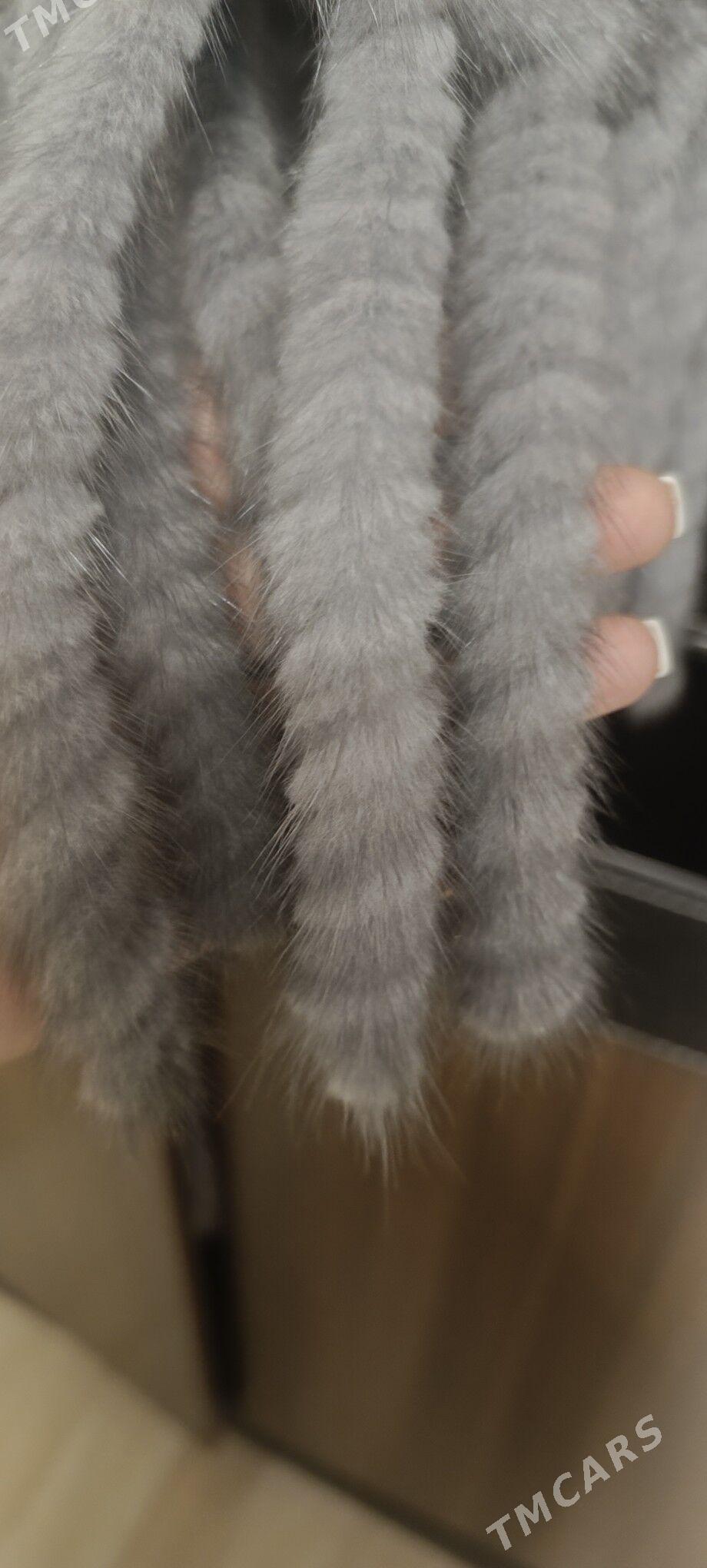 norka - Ашхабад - img 3