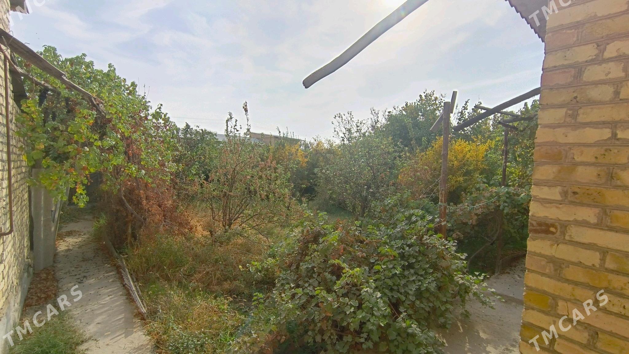 Daça - Туркменабат - img 4