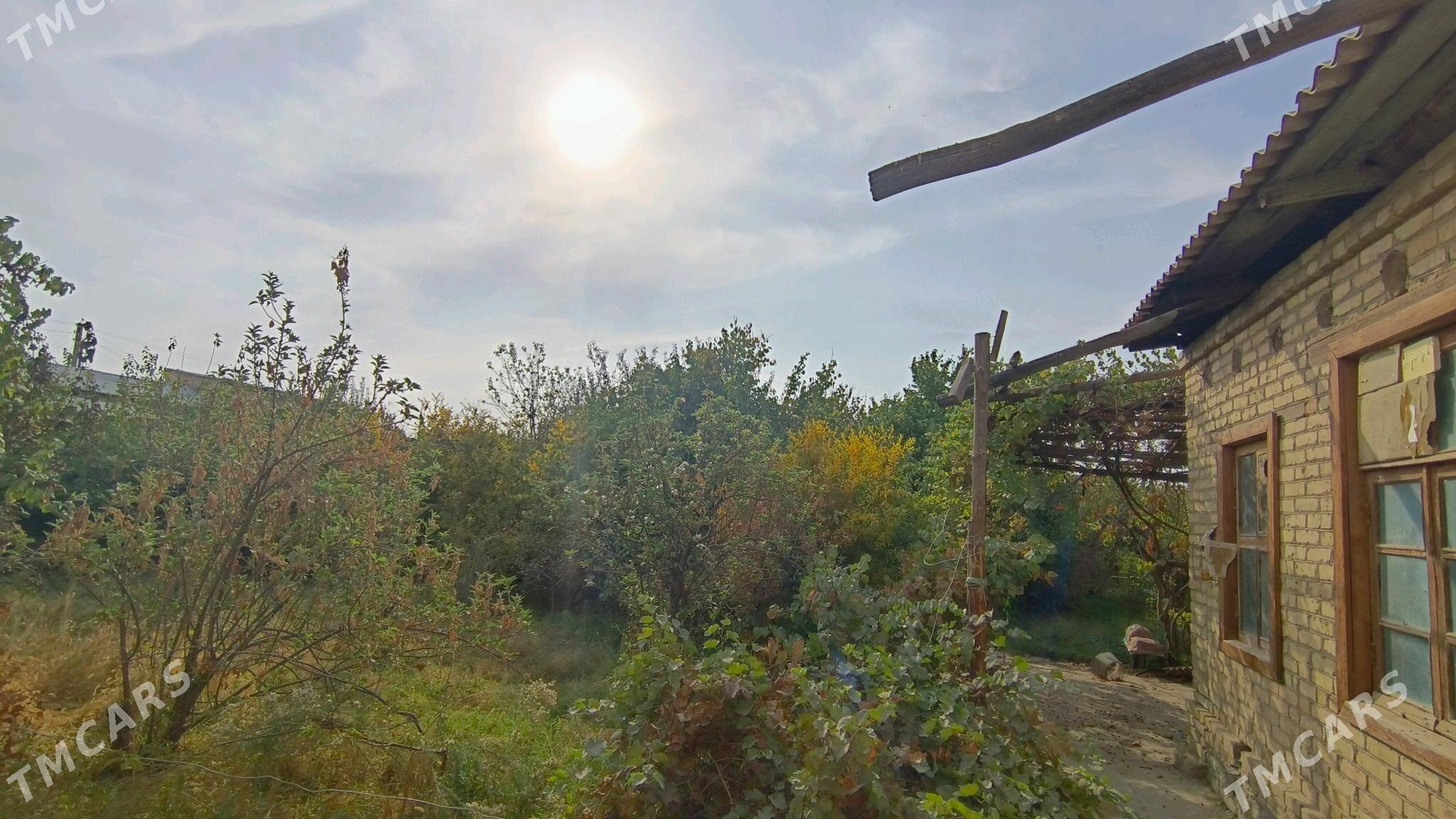 Daça - Туркменабат - img 5