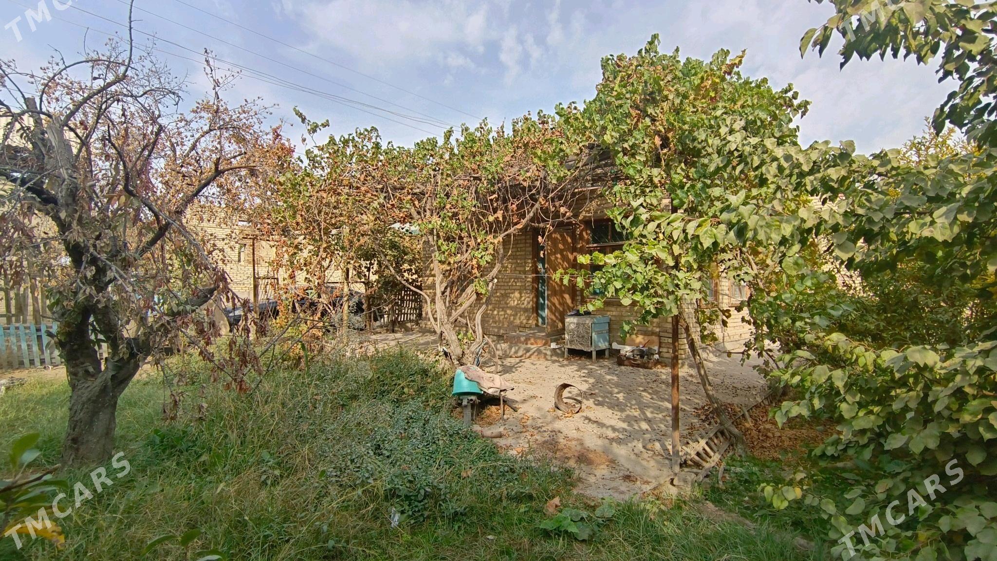 Daça - Туркменабат - img 6