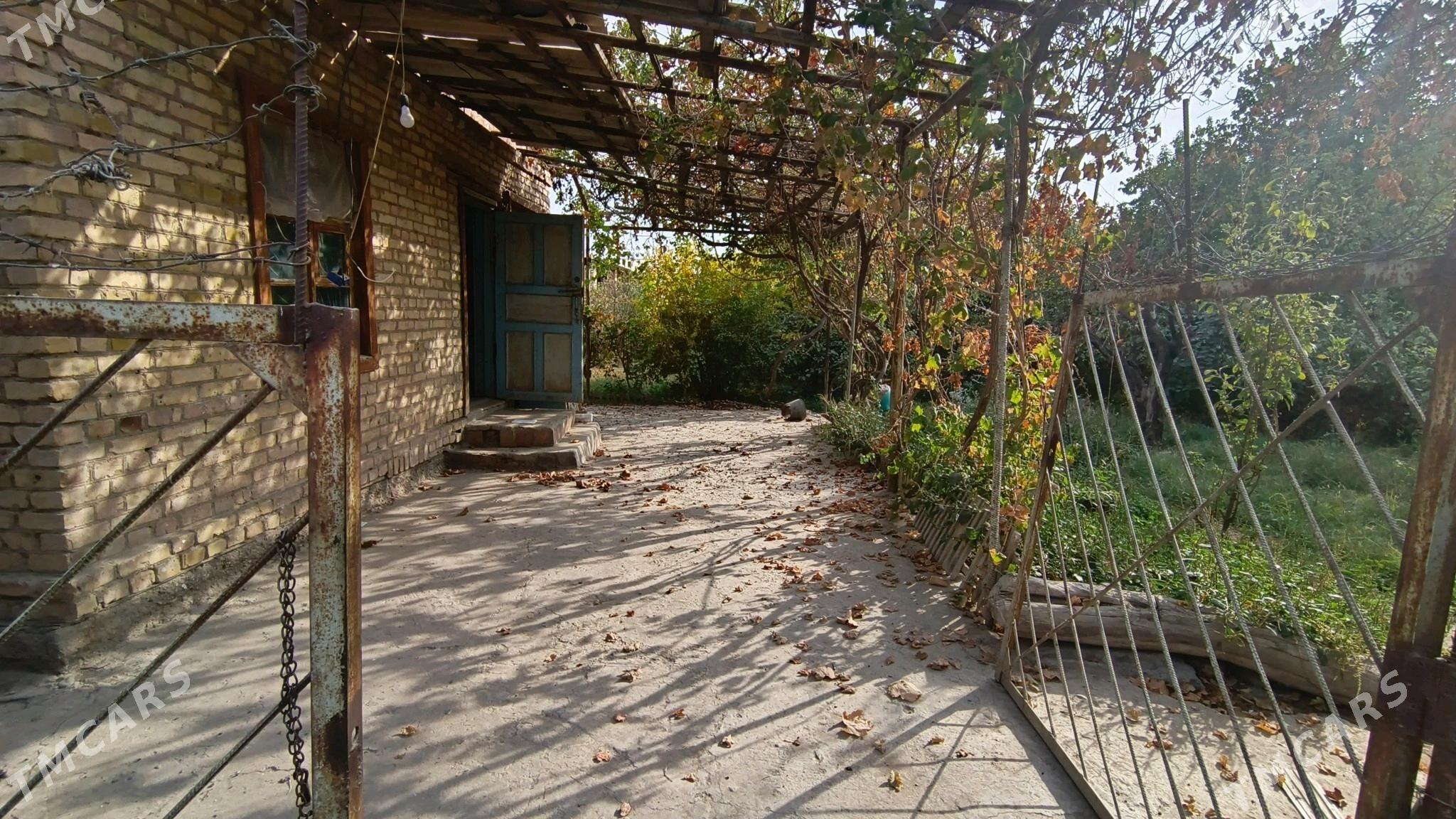 Daça - Туркменабат - img 10