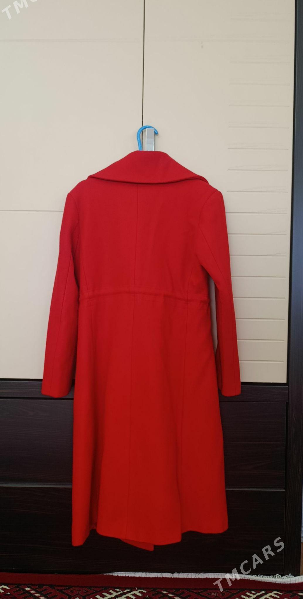 Satlyk - Ашхабад - img 5