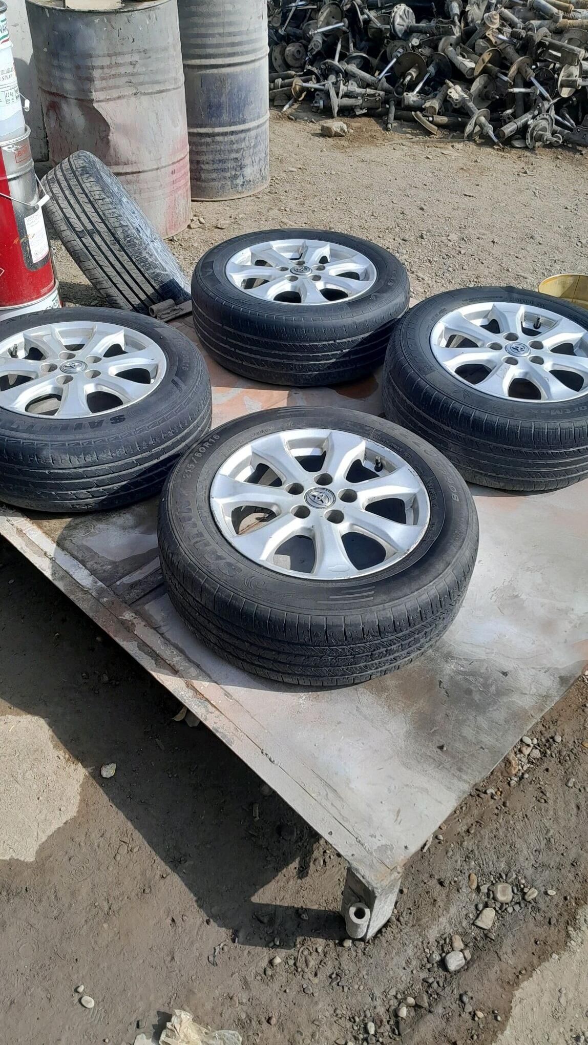 okuz kelle disga teker R16 3 000 TMT - Mary - img 2