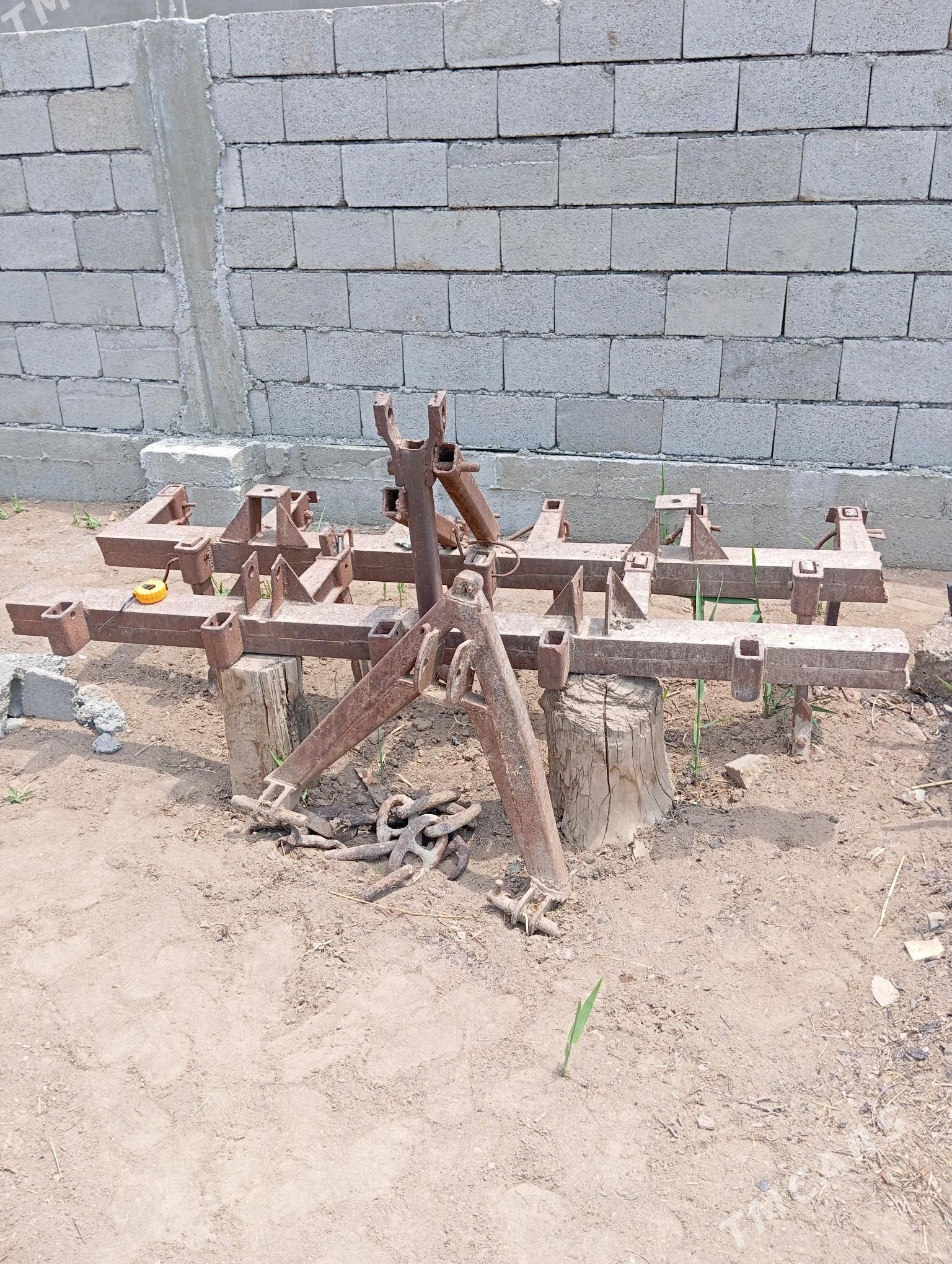 cyzyl yer suryan - Tejen - img 5