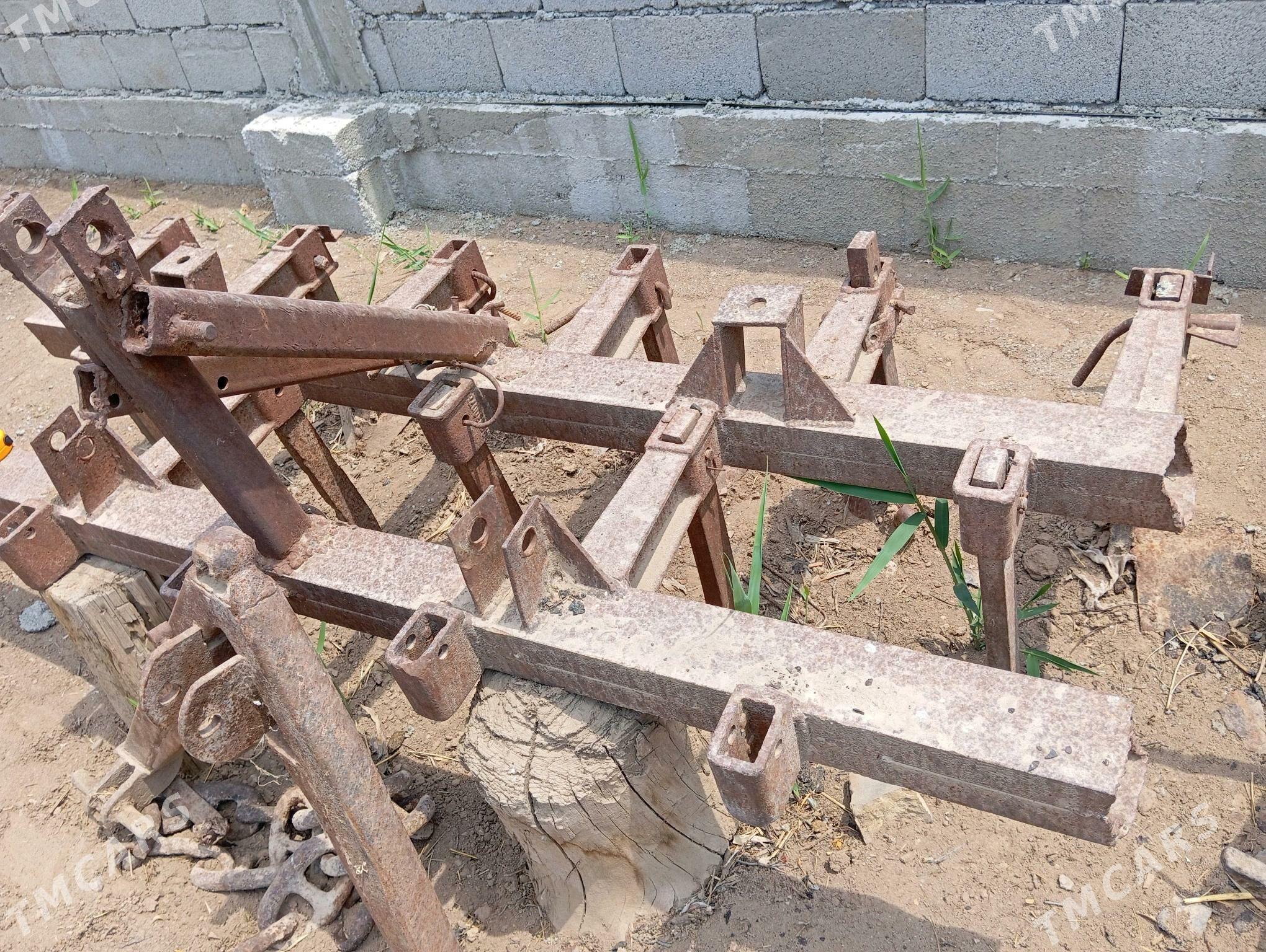 cyzyl yer suryan - Tejen - img 2