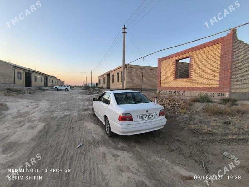 jay - Саят - img 2