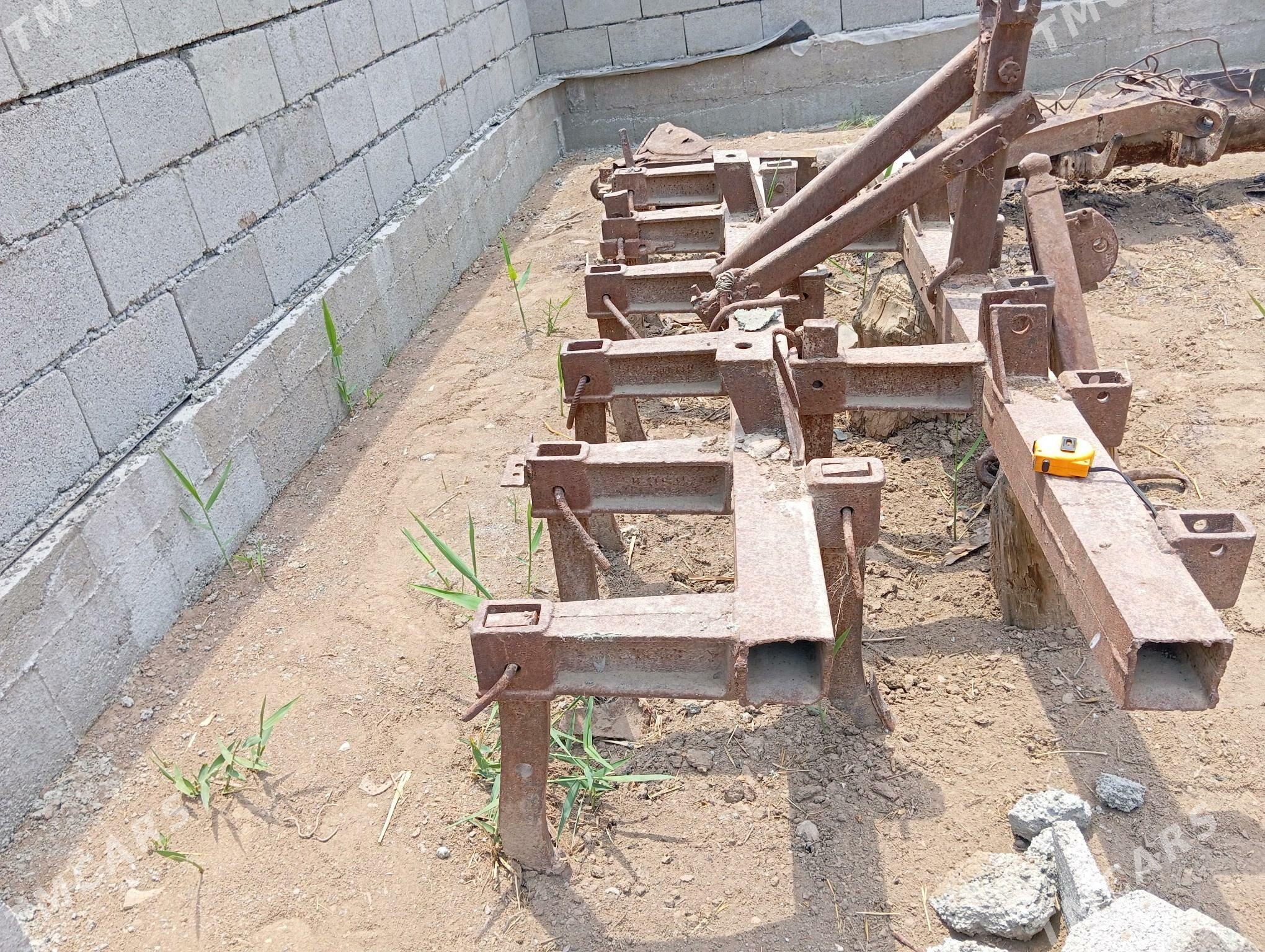 cyzyl yer suryan - Tejen - img 3