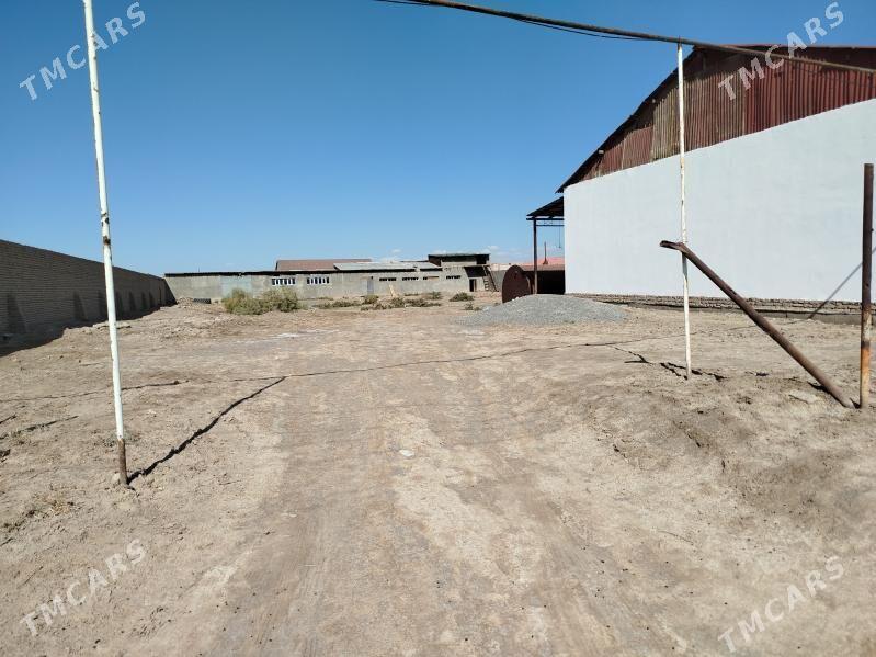 Жае юлдиз магазин онинде - Şabat etr. - img 9