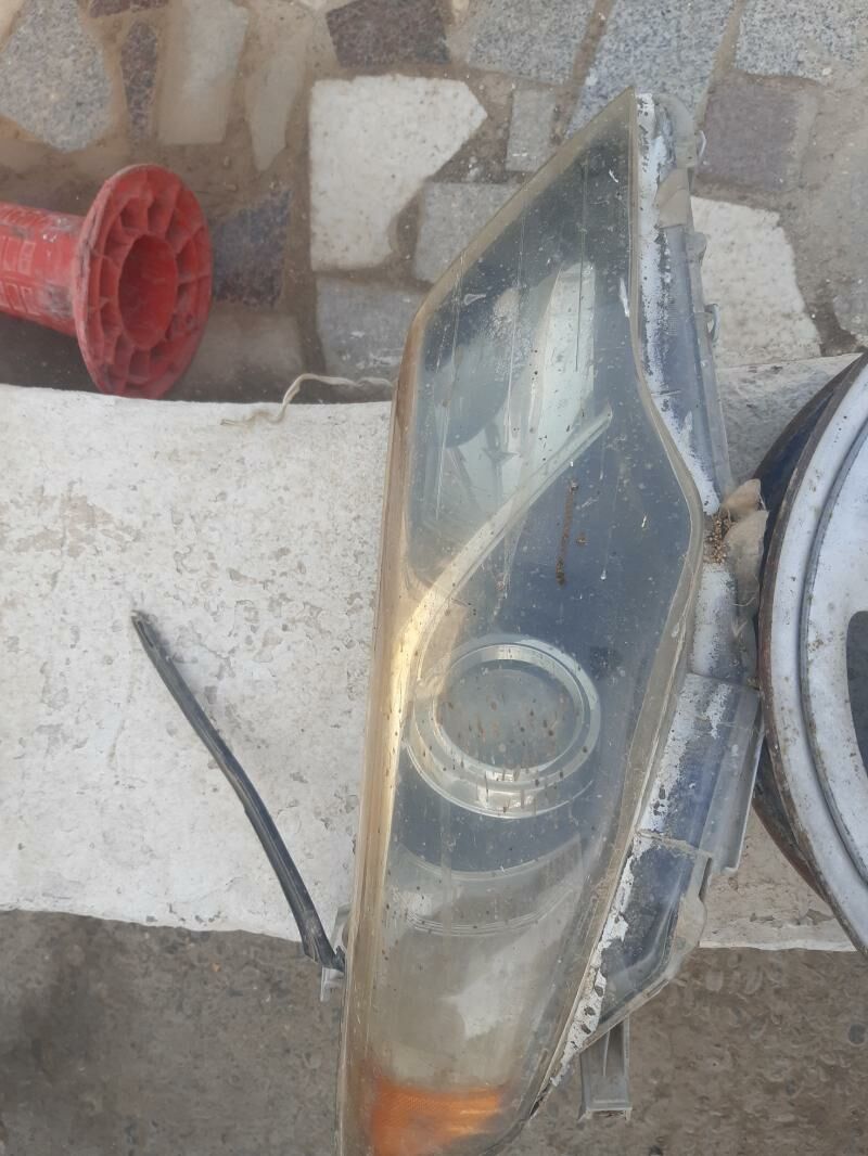 palta fara фара палта 800 TMT - Aşgabat - img 1