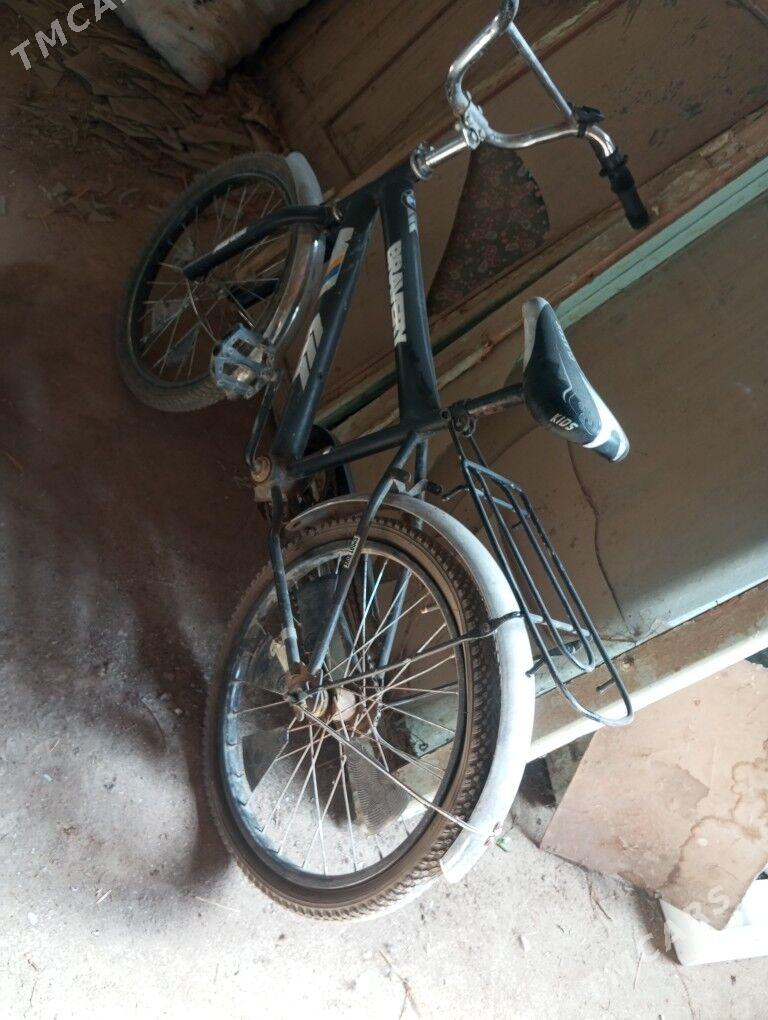 Wlikler - Dänew - img 2