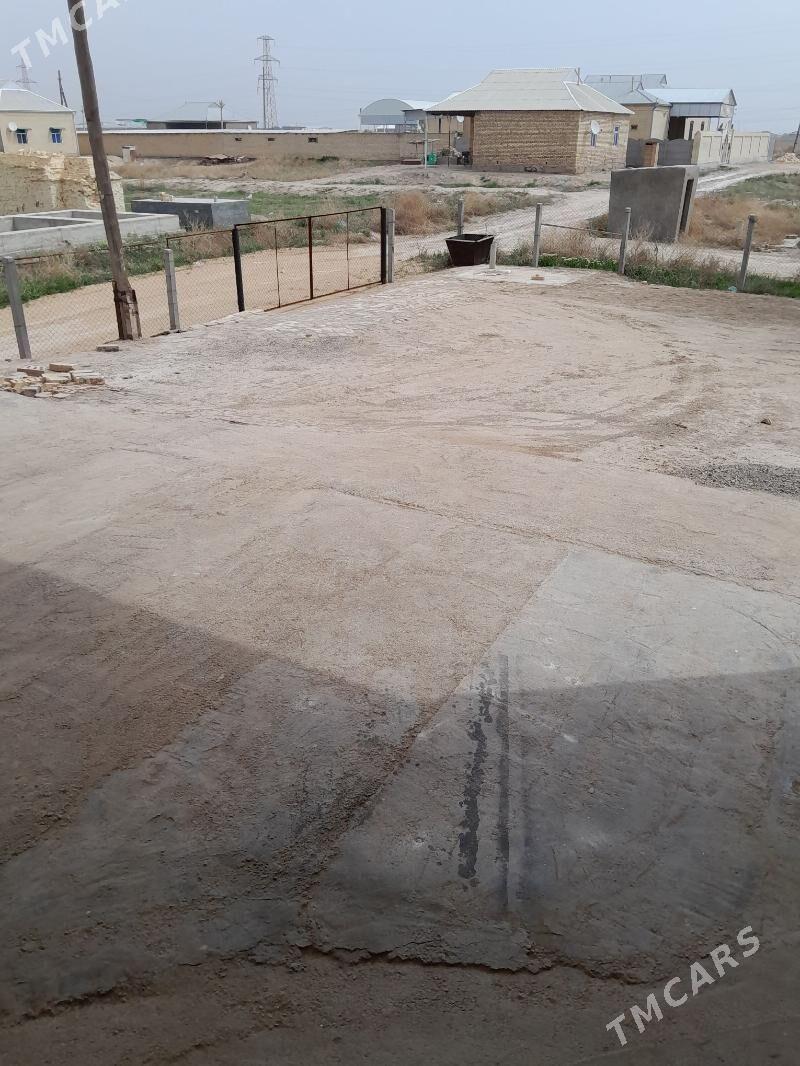 Satlyk jay Sähra pasyolka - Mary - img 5