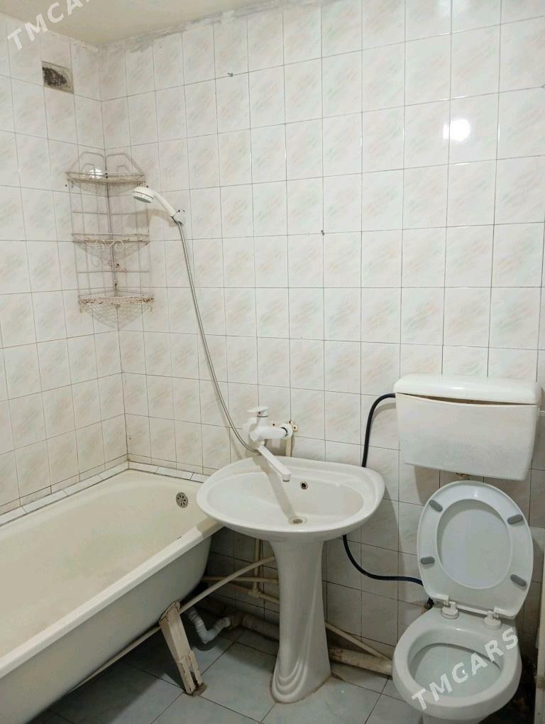 Arenda jay  1 mkr - Mary - img 5