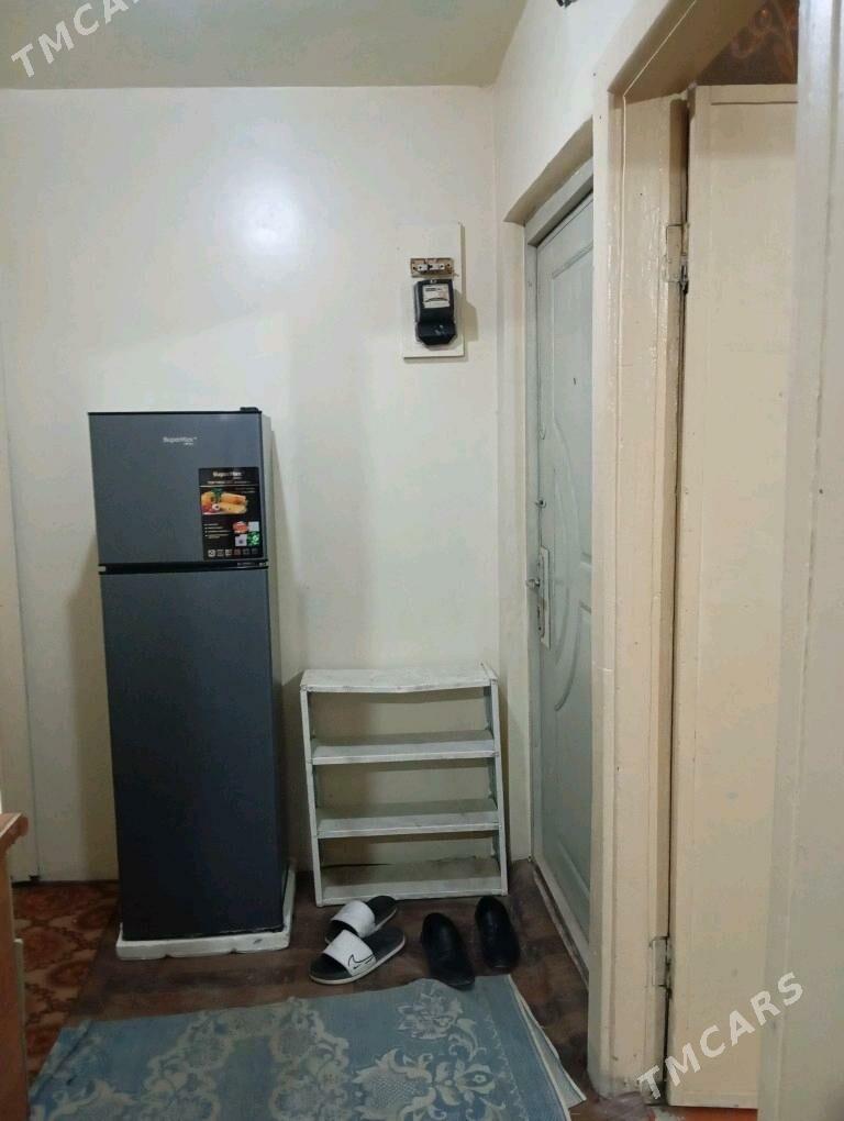 Arenda jay  1 mkr - Mary - img 2