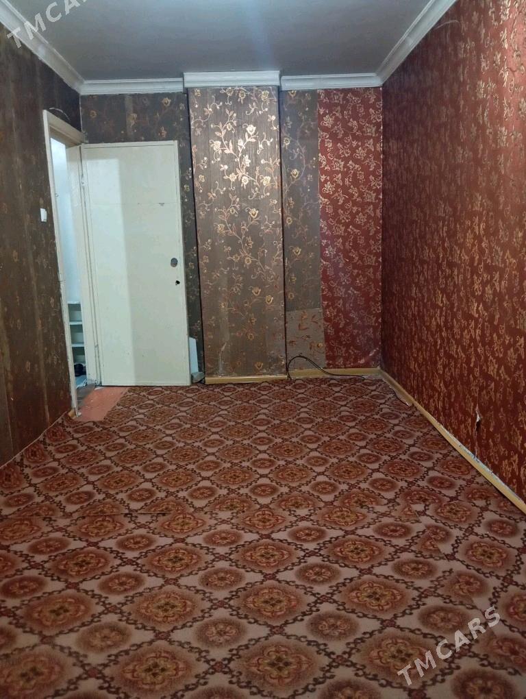 Arenda jay  1 mkr - Mary - img 3