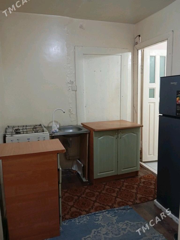 Arenda jay  1 mkr - Mary - img 6