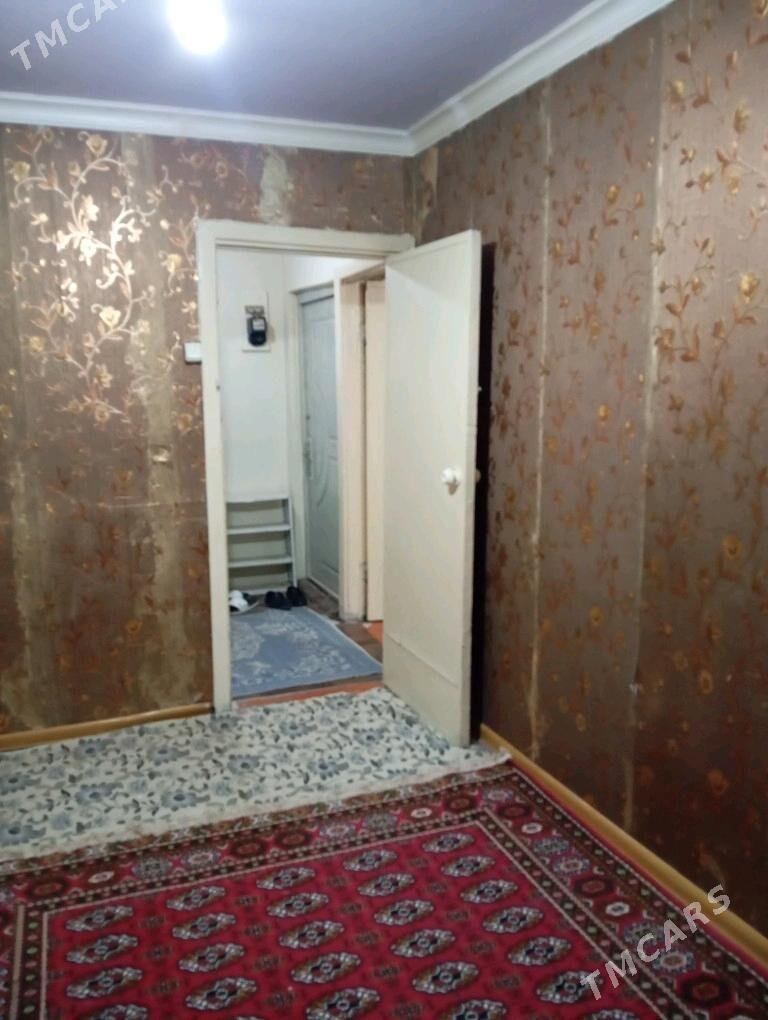 Arenda jay  1 mkr - Mary - img 1