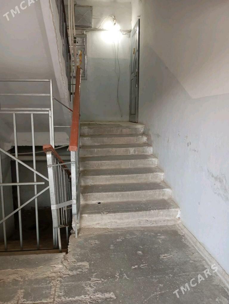 Arenda jay  1 mkr - Mary - img 9