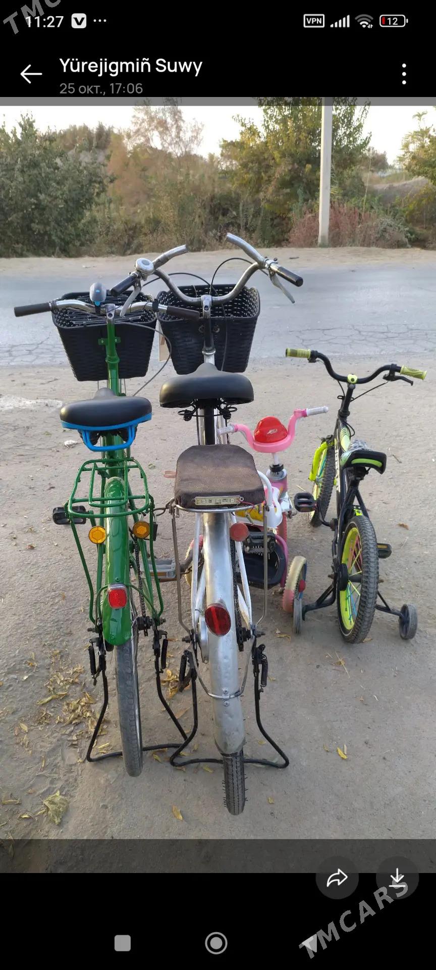 Welsisipet Tigir - Саят - img 4