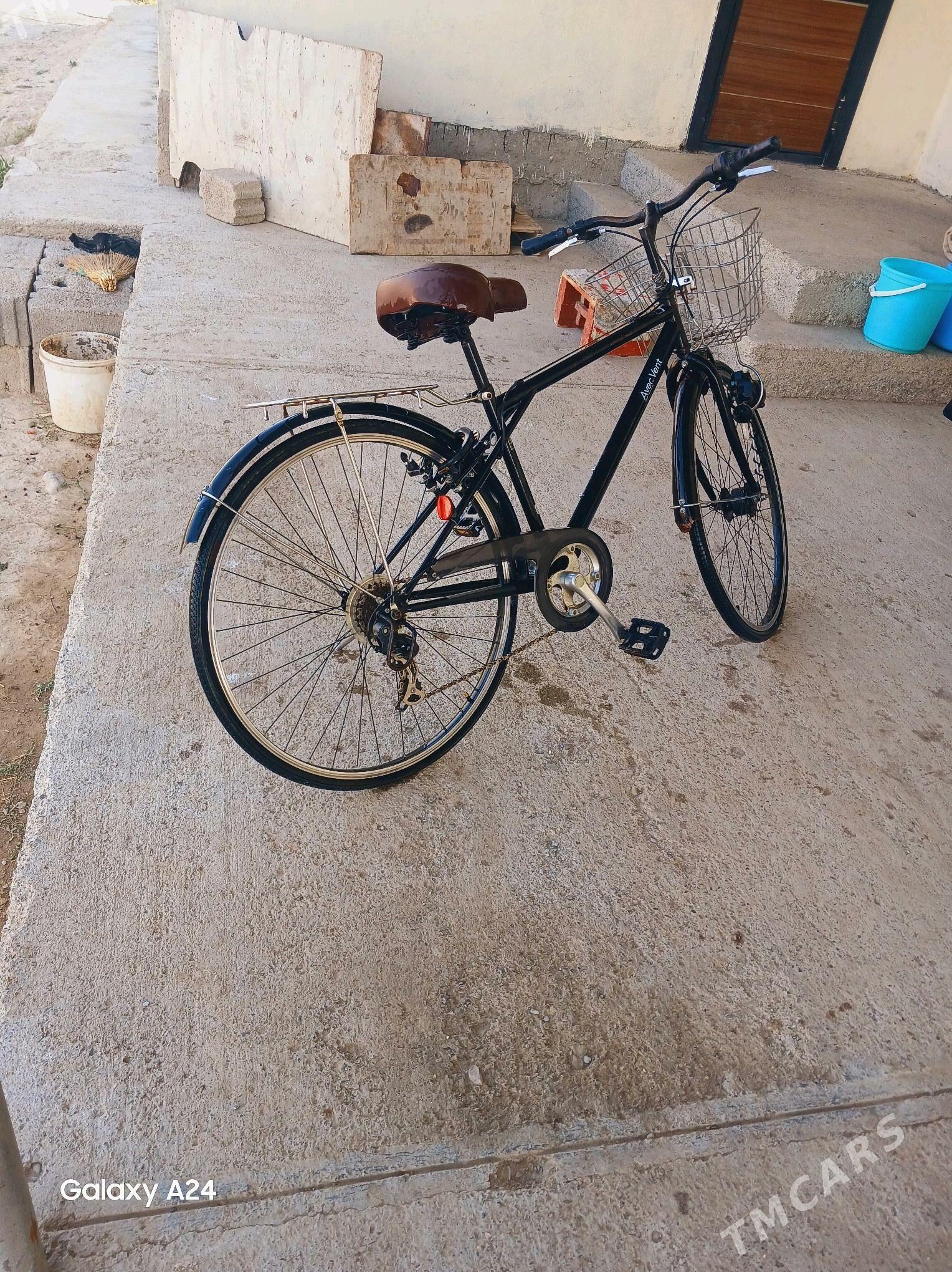 Tigir - Гуртли - img 1