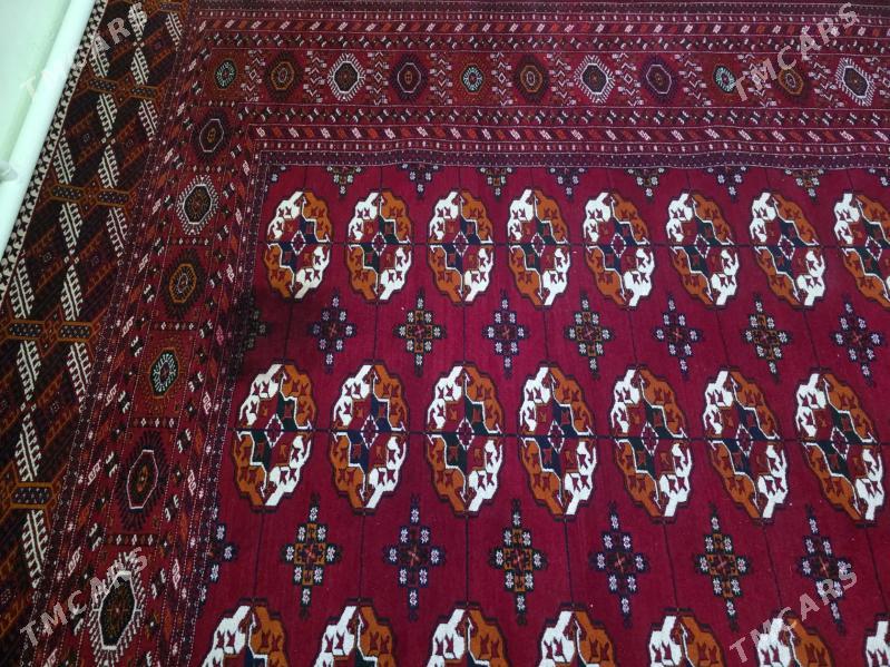 Haly - Гызыларбат - img 5