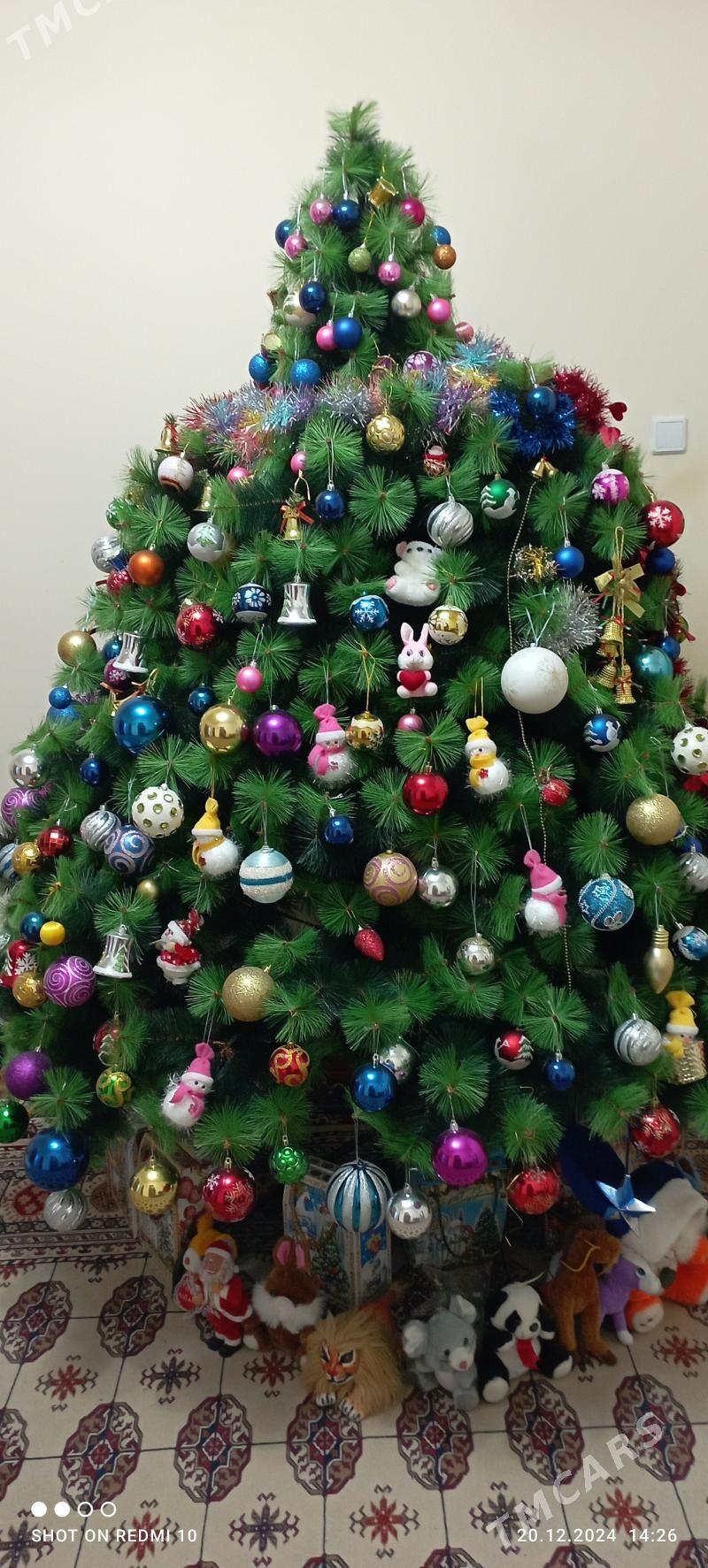 Ŷolka - Ашхабад - img 2