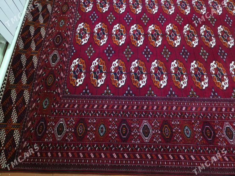 Haly - Гызыларбат - img 4