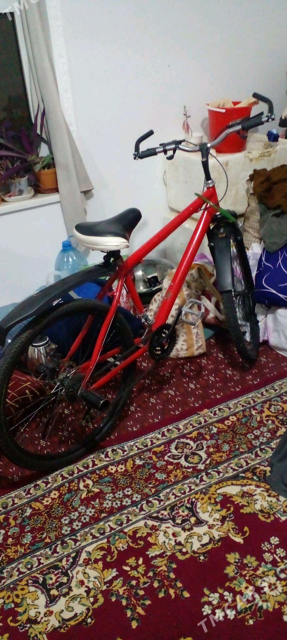 тигир - Анев - img 1