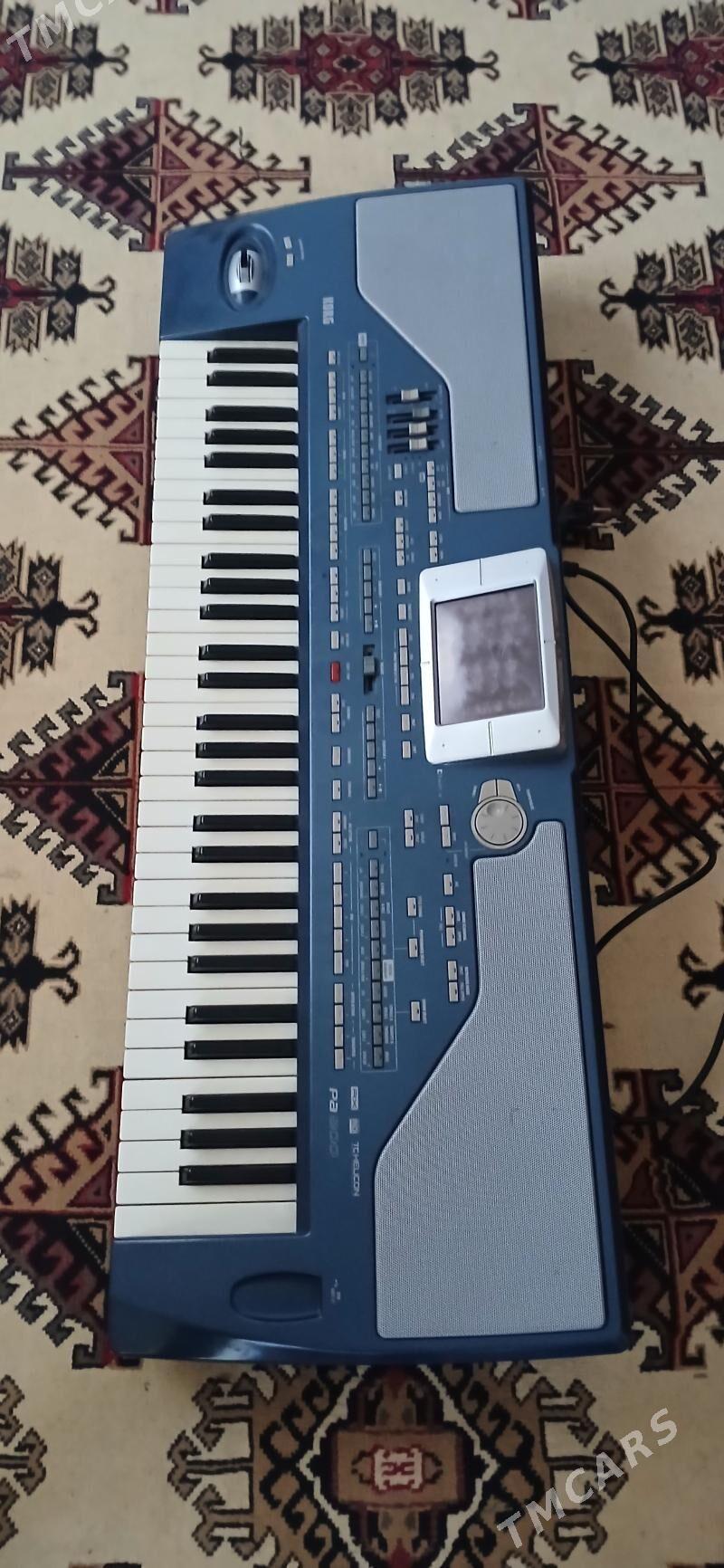 Korg Pa800 - Tejen - img 5