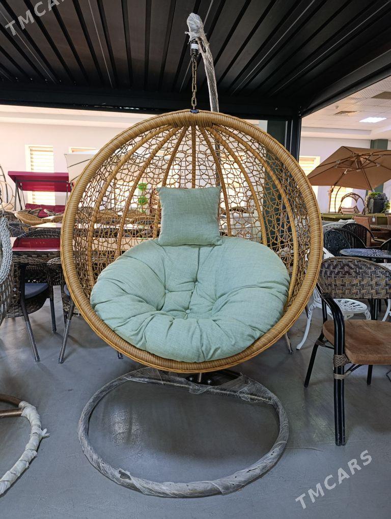 kacelyalar - Aşgabat - img 10