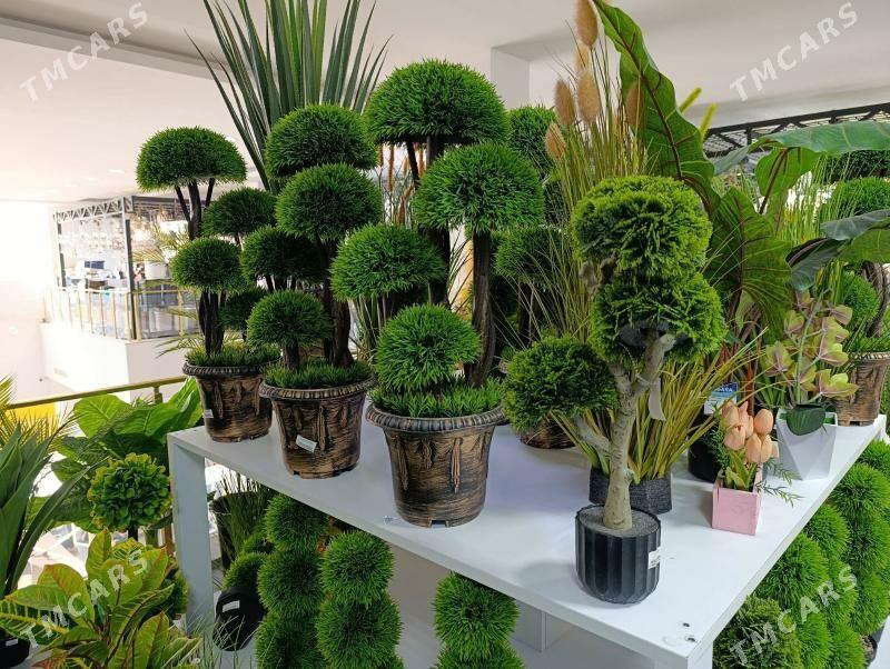 dekor baglar - Ашхабад - img 2