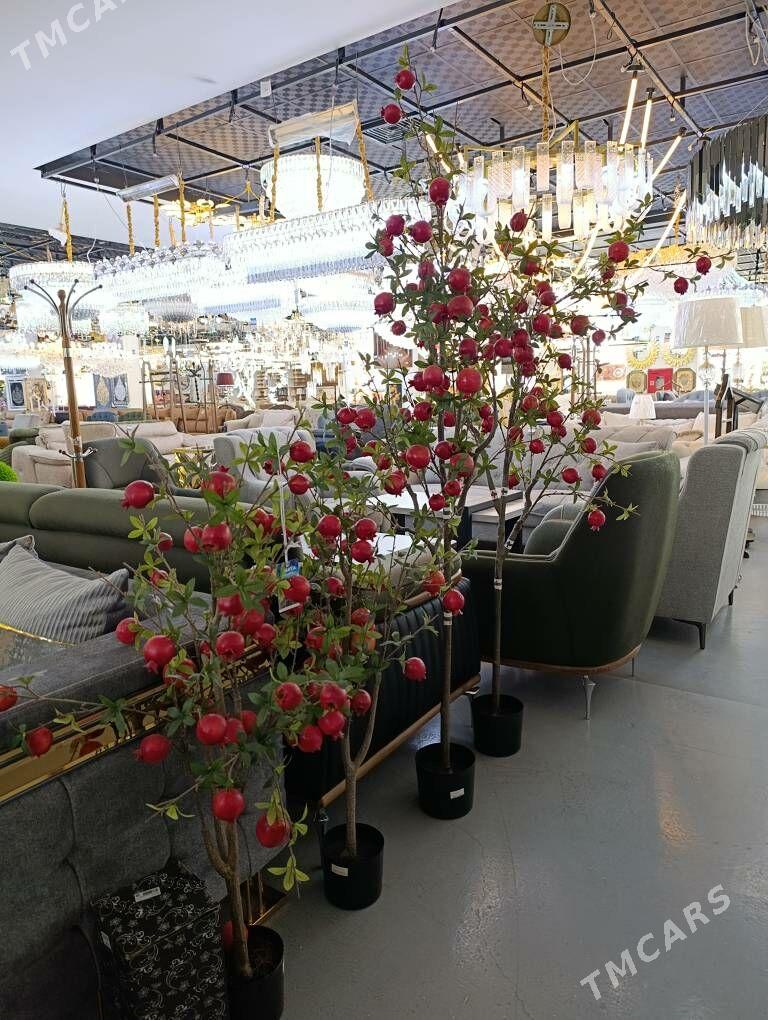 dekor baglar - Ашхабад - img 7