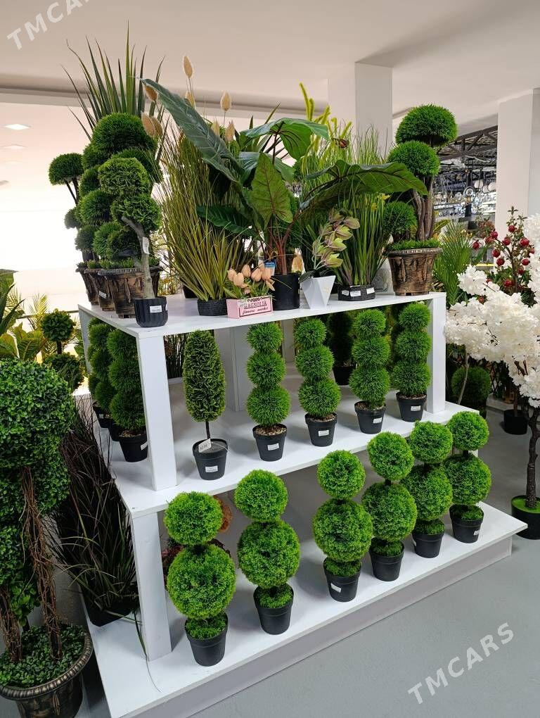 dekor baglar - Ашхабад - img 5