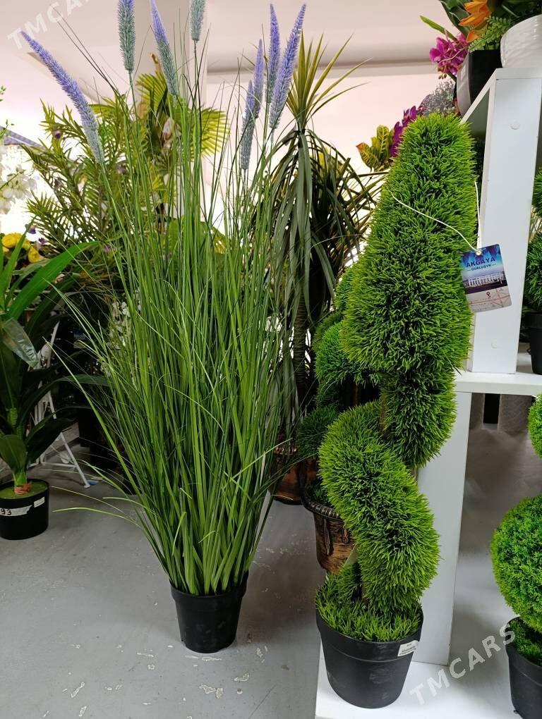 dekor baglar - Ашхабад - img 8