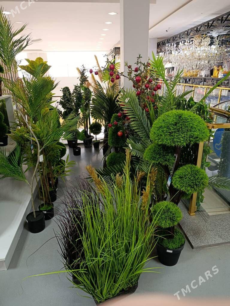 dekor baglar - Ашхабад - img 3