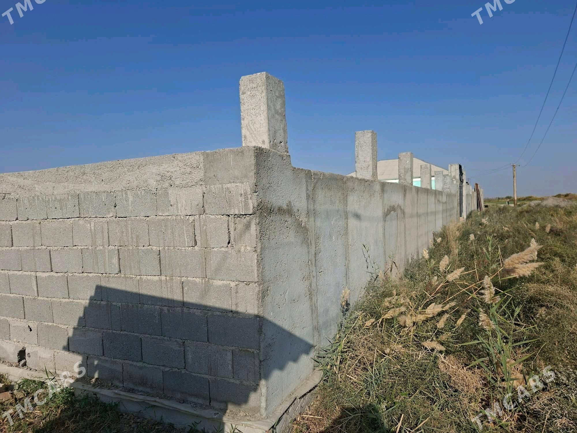 satlyk ýer Ýaşlyk - Яшлык - img 3