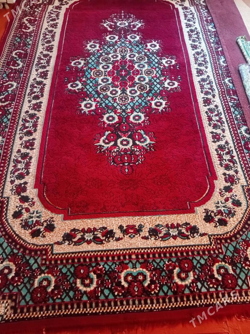 Haly    tazeje - Gumdag - img 1