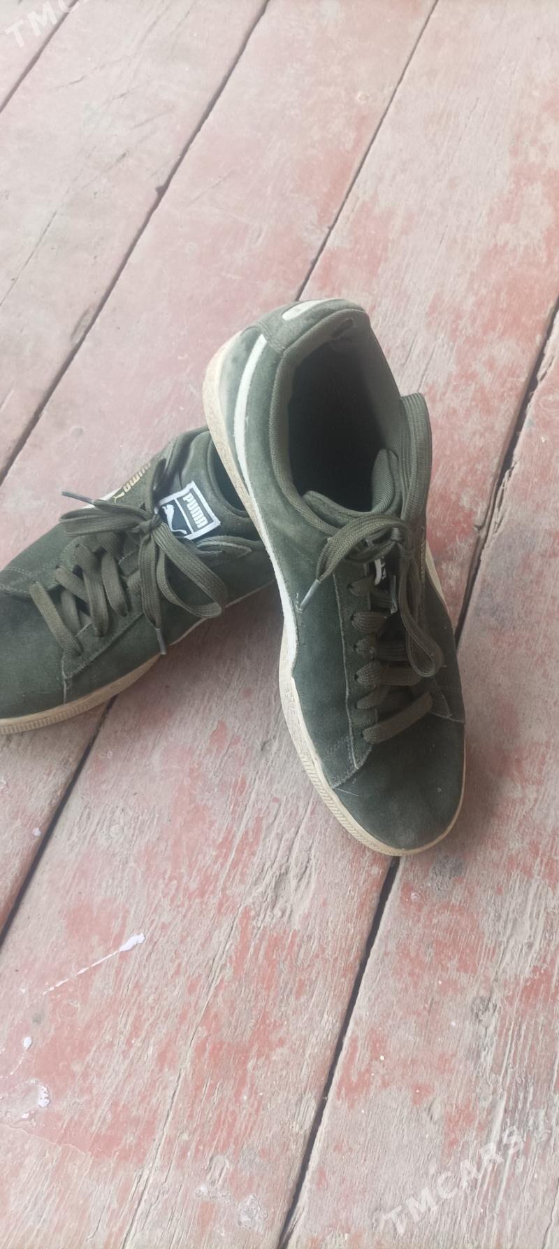 красовка - Daşoguz - img 2