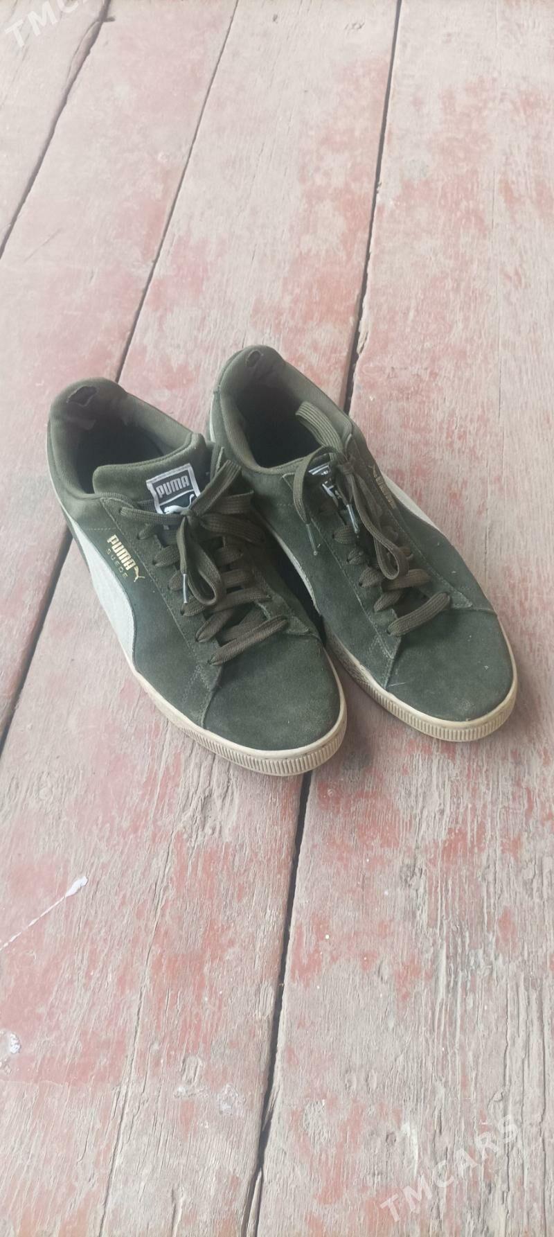 красовка - Daşoguz - img 3