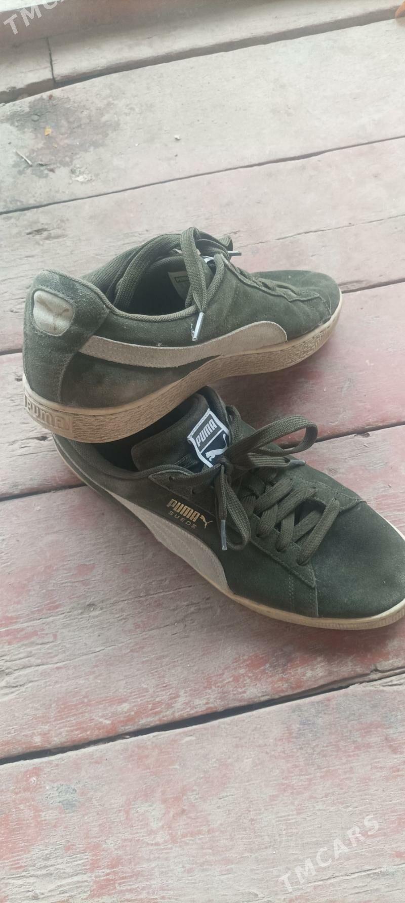 красовка - Daşoguz - img 1