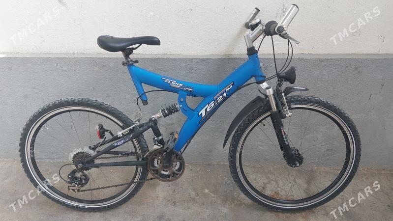 Tigir welisoped - Чоганлы - img 2