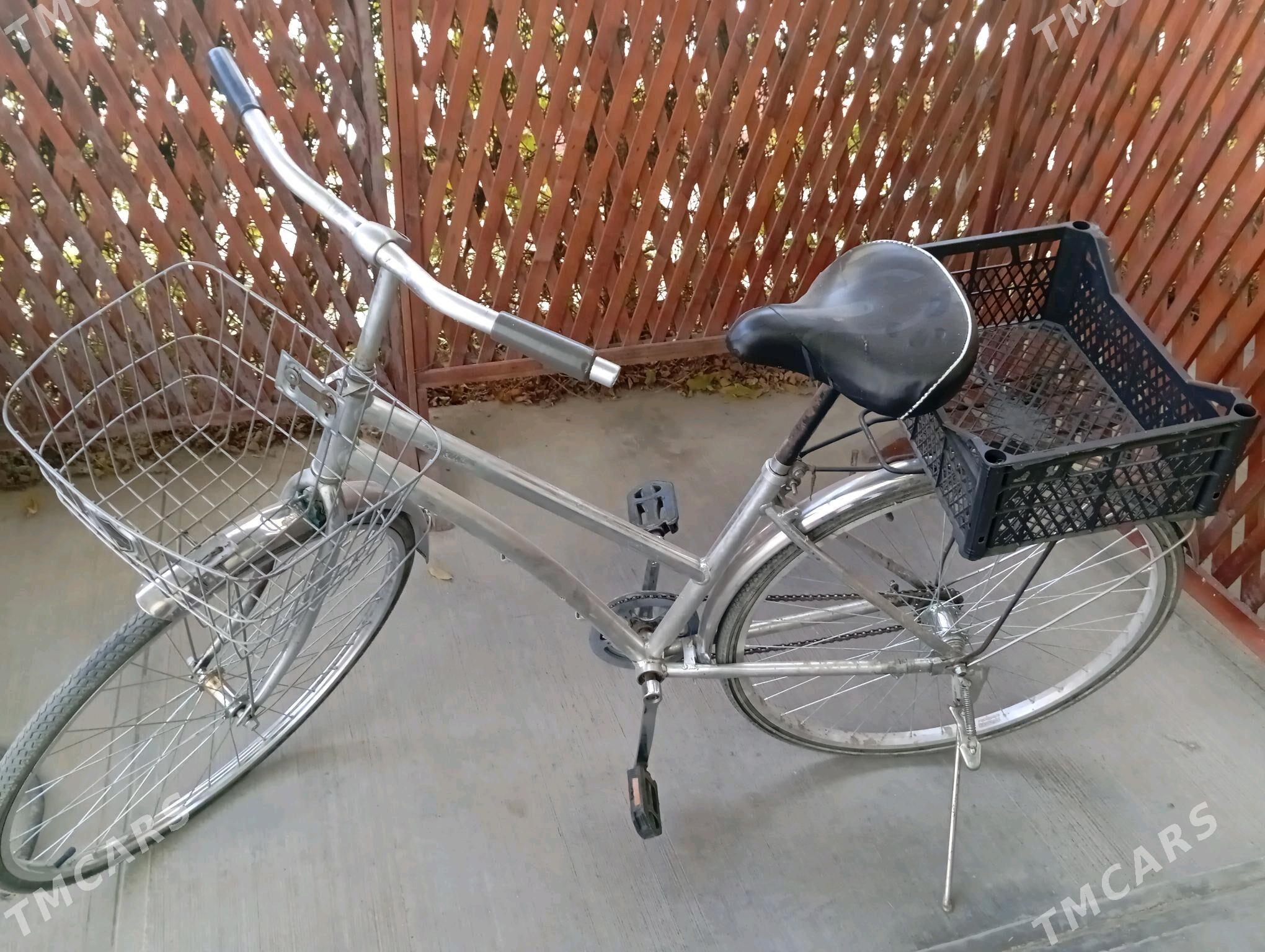 tigir - Änew - img 2